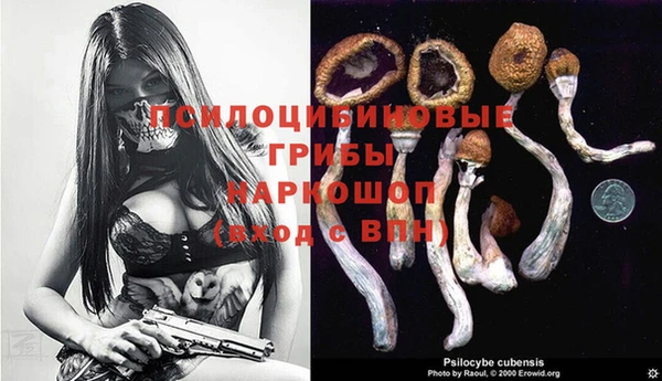молекула духа Белокуриха