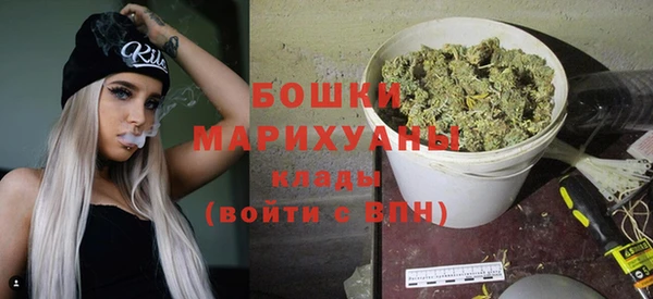 молекула духа Белокуриха