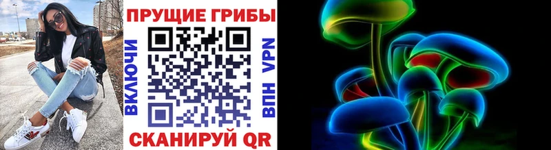 где можно купить   Шимановск  Псилоцибиновые грибы прущие грибы 